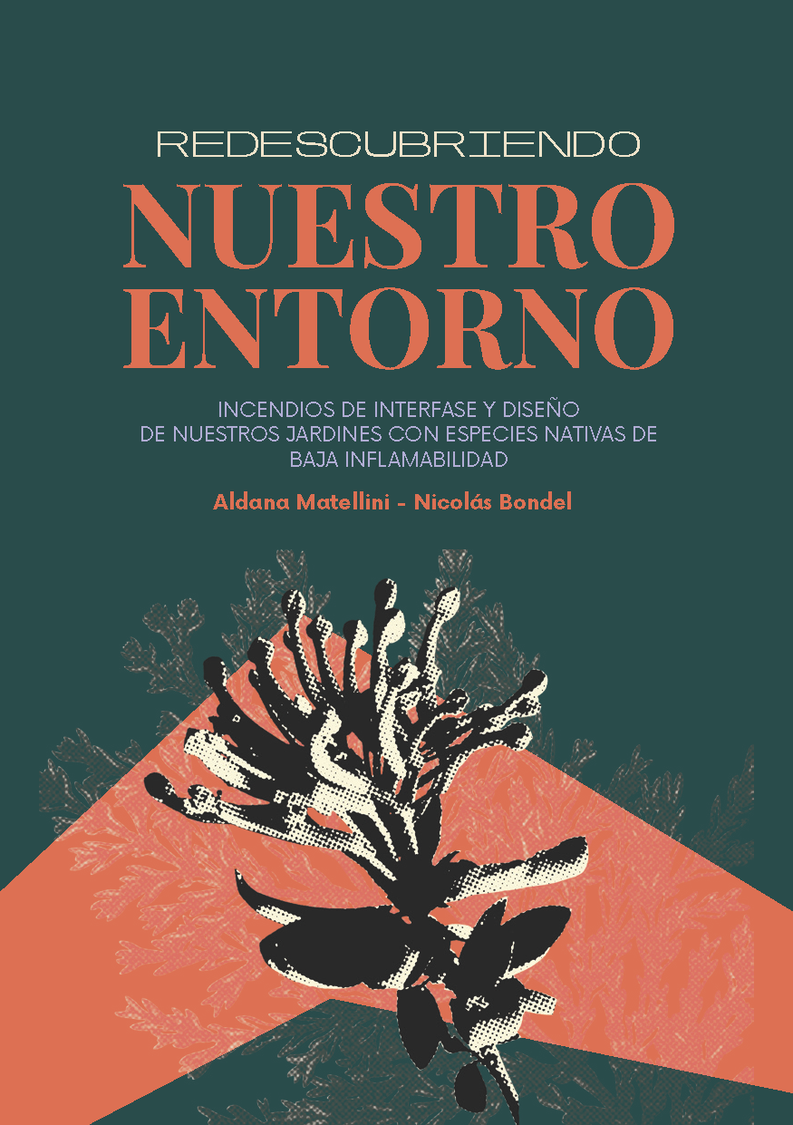 Redescubriendo Nuestro Entorno lectura Digital